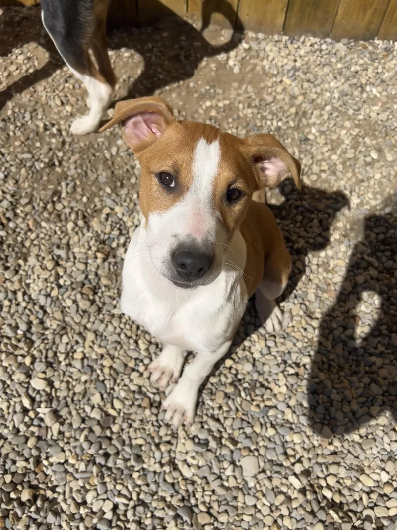 Maggie thumbnail 3