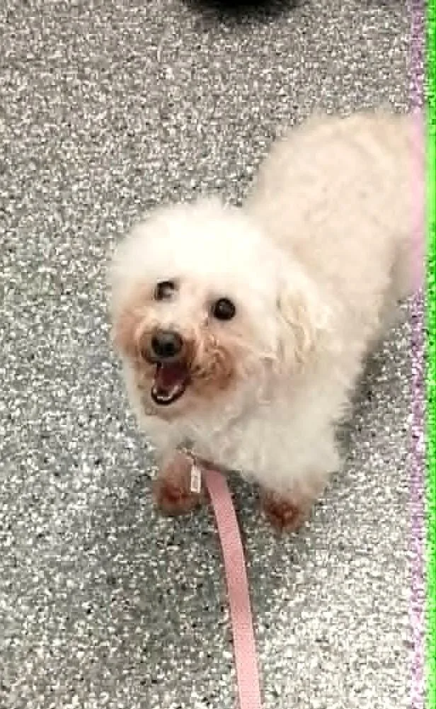 Bailey thumbnail 2