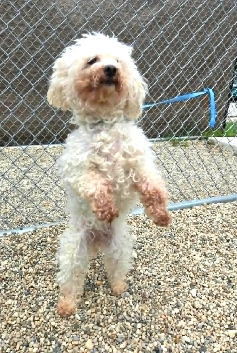 Bailey thumbnail 4
