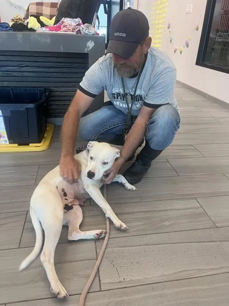 Mrs. Daisy thumbnail 2