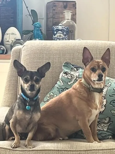 Tito