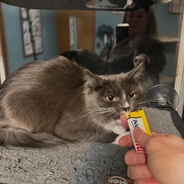 Twyla thumbnail 3
