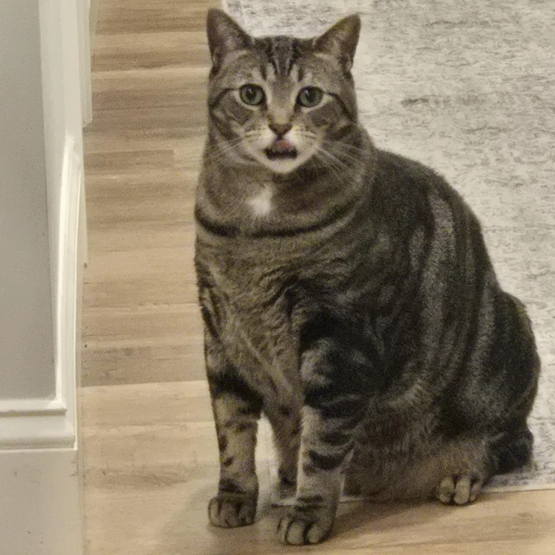 Steve