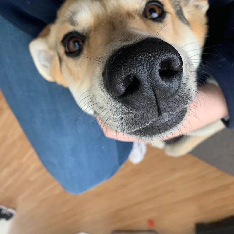 Molly