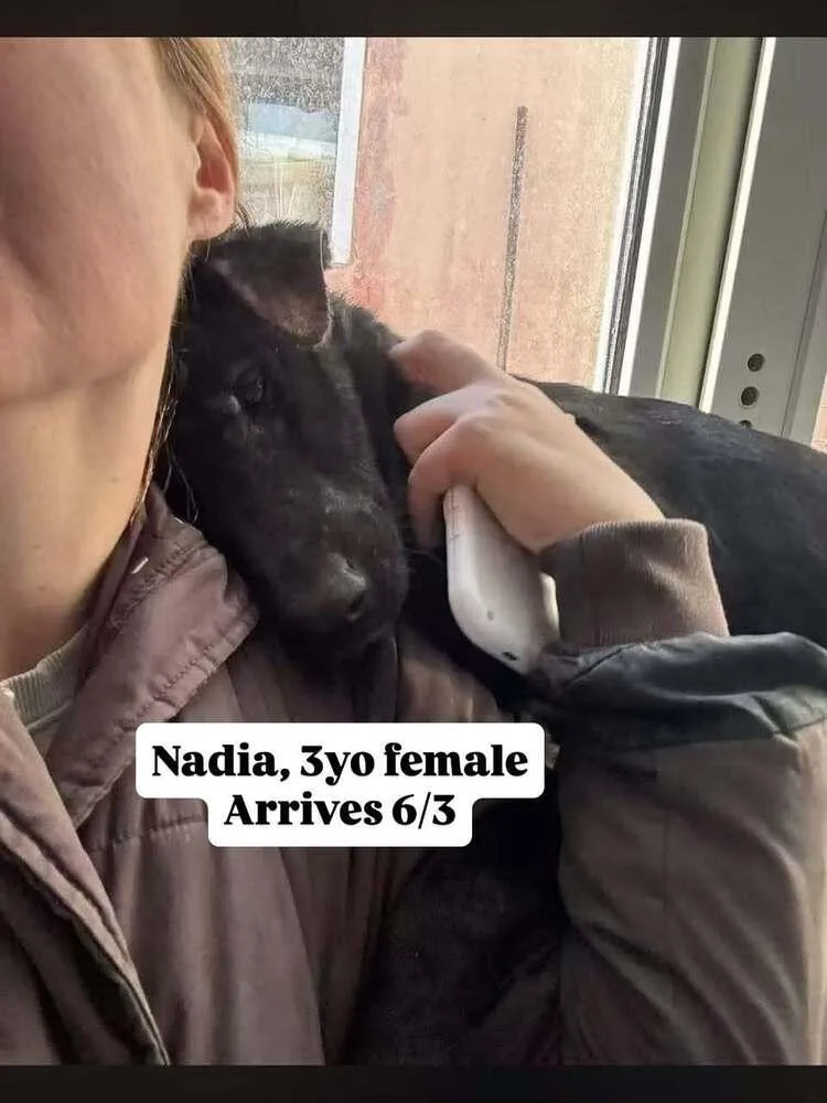 Nadia thumbnail 3