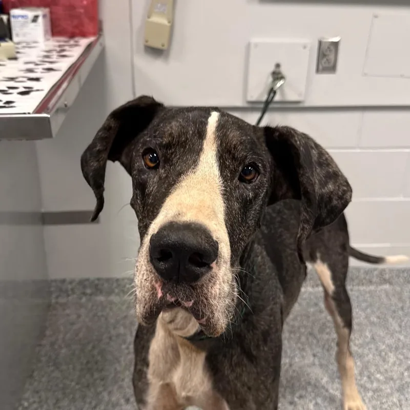Mr. EdZeus