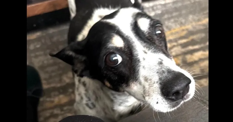 Baby Girl thumbnail 2