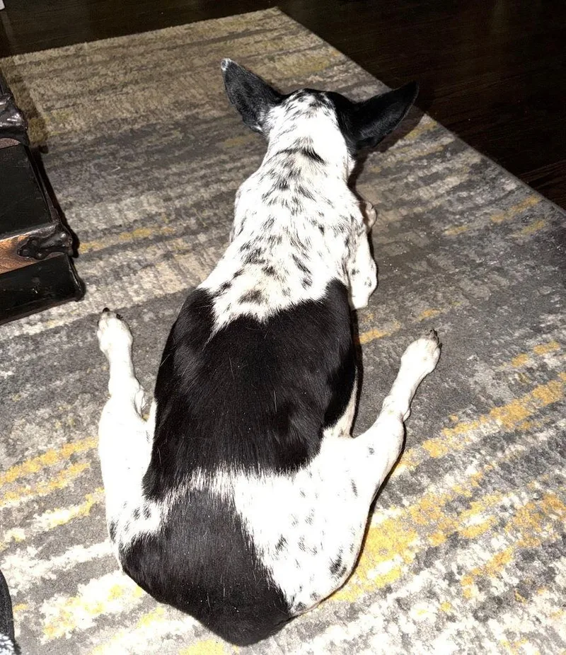 Baby Girl thumbnail 3