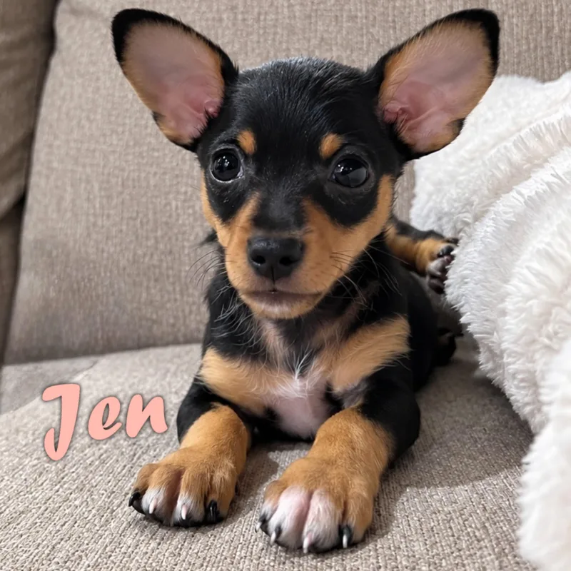 Jen thumbnail 2