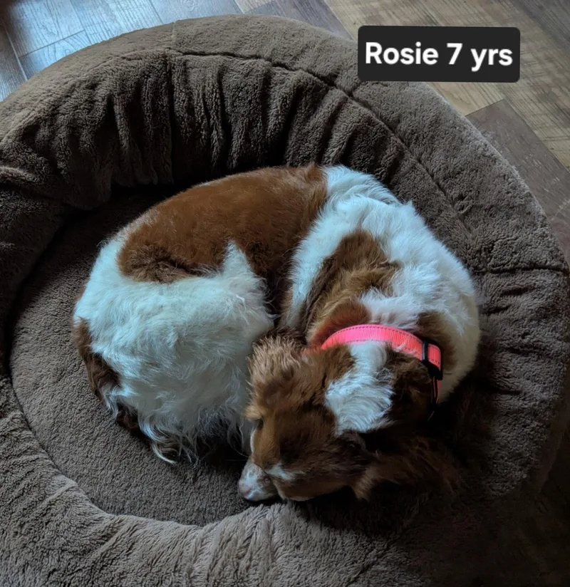 Txrosie Rae thumbnail 2