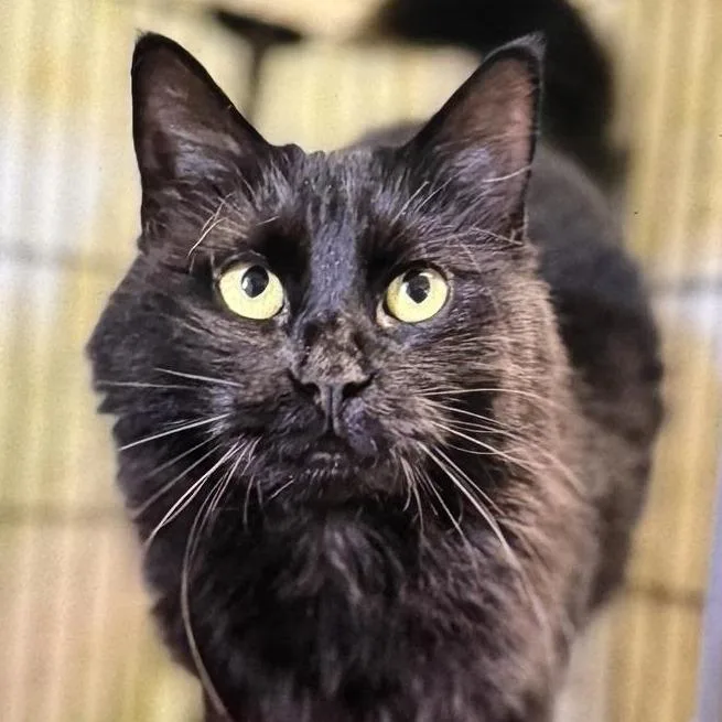 Sabrina