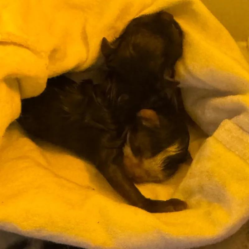 Gabe Wkh thumbnail 2