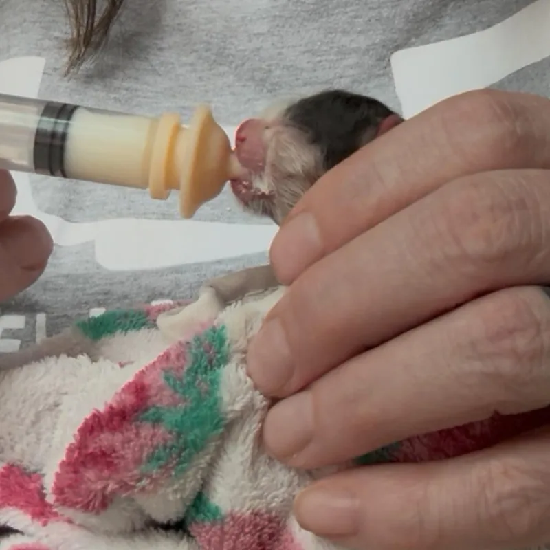 Gabe Wkh thumbnail 3