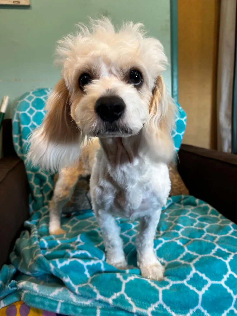 Jack Mar thumbnail 2