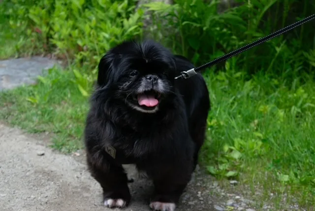 Lexi In Maine thumbnail 2