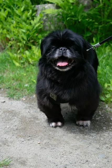 Lexi In Maine thumbnail 3