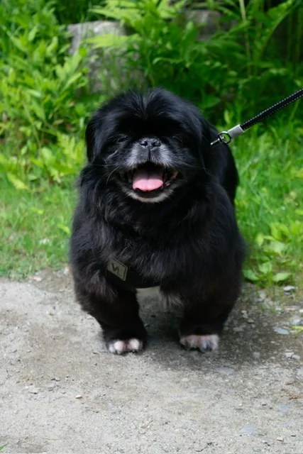 Lexi In Maine thumbnail 5
