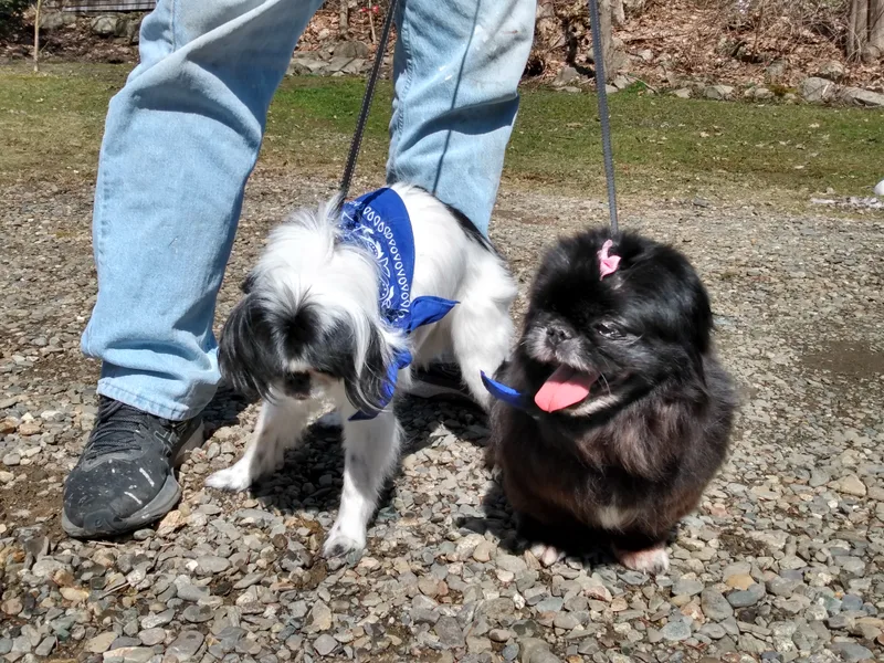 Lexi In Maine thumbnail 6