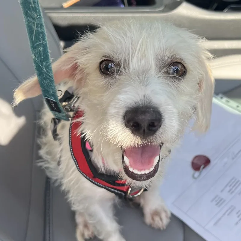 Stormie Snow thumbnail 2