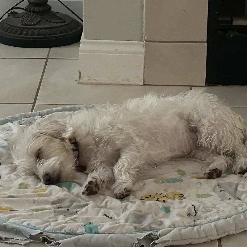 Stormie Snow thumbnail 3