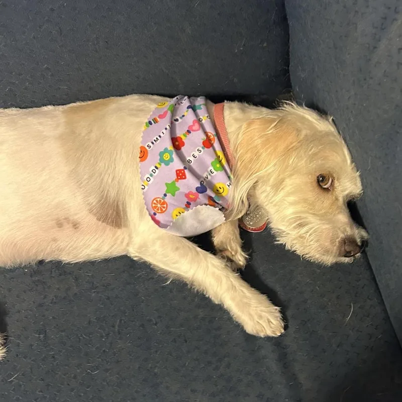 Stormie Snow thumbnail 5