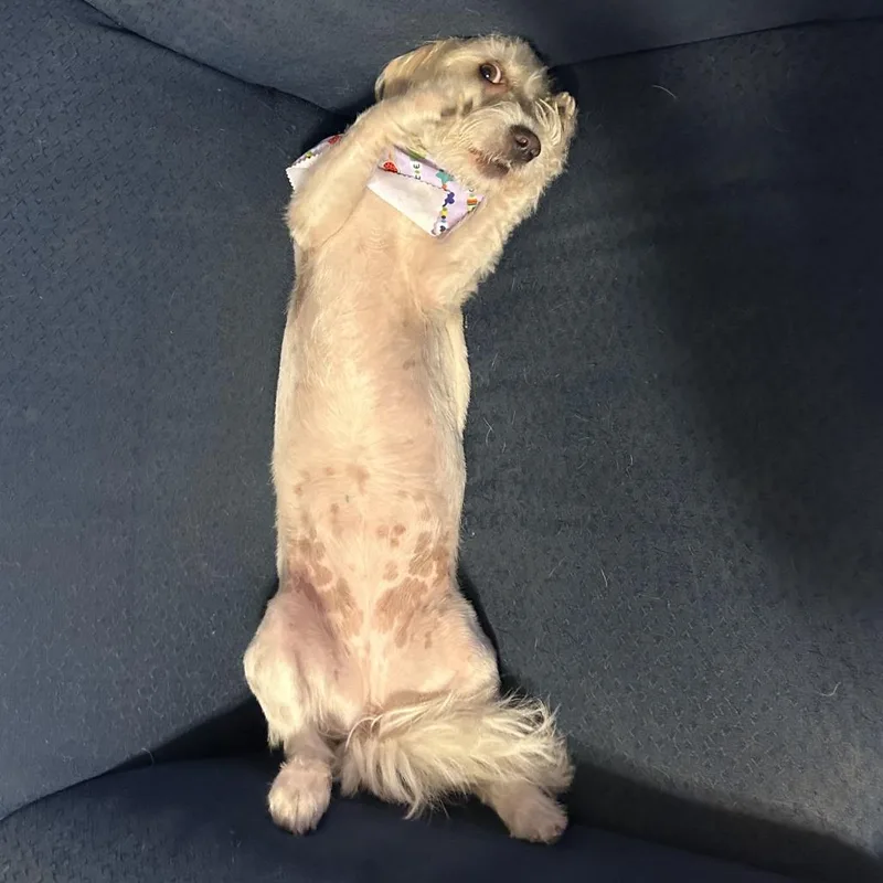 Stormie Snow thumbnail 6