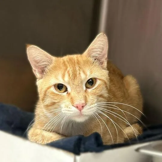 Kids These Days thumbnail 2