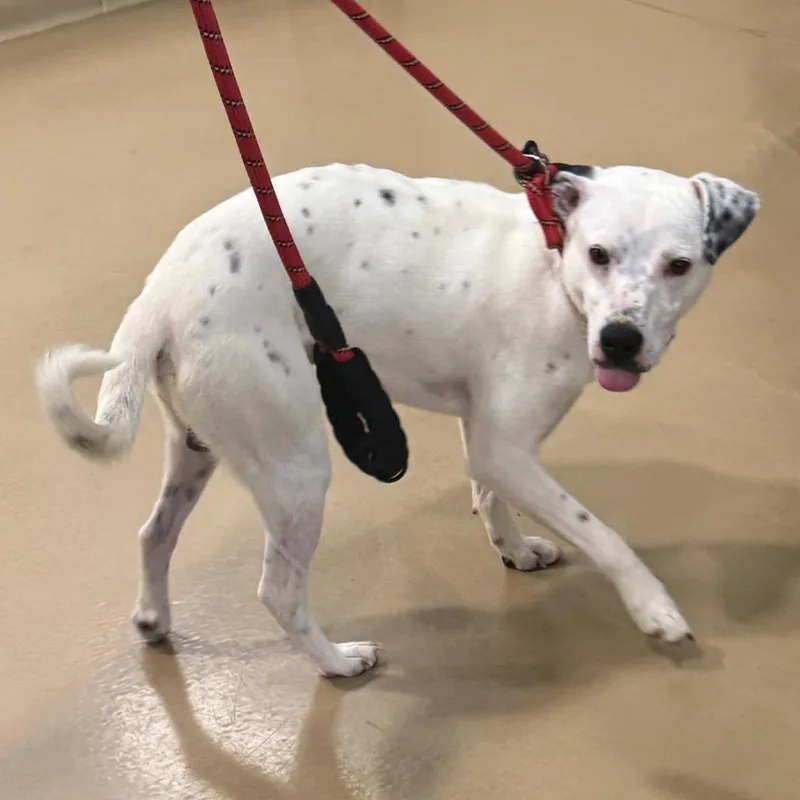 Mitochondria thumbnail 2