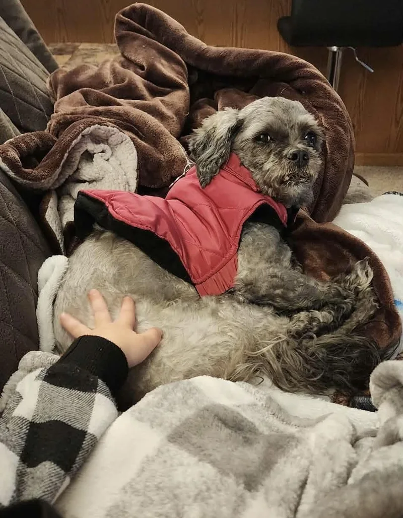 Lulu thumbnail 5