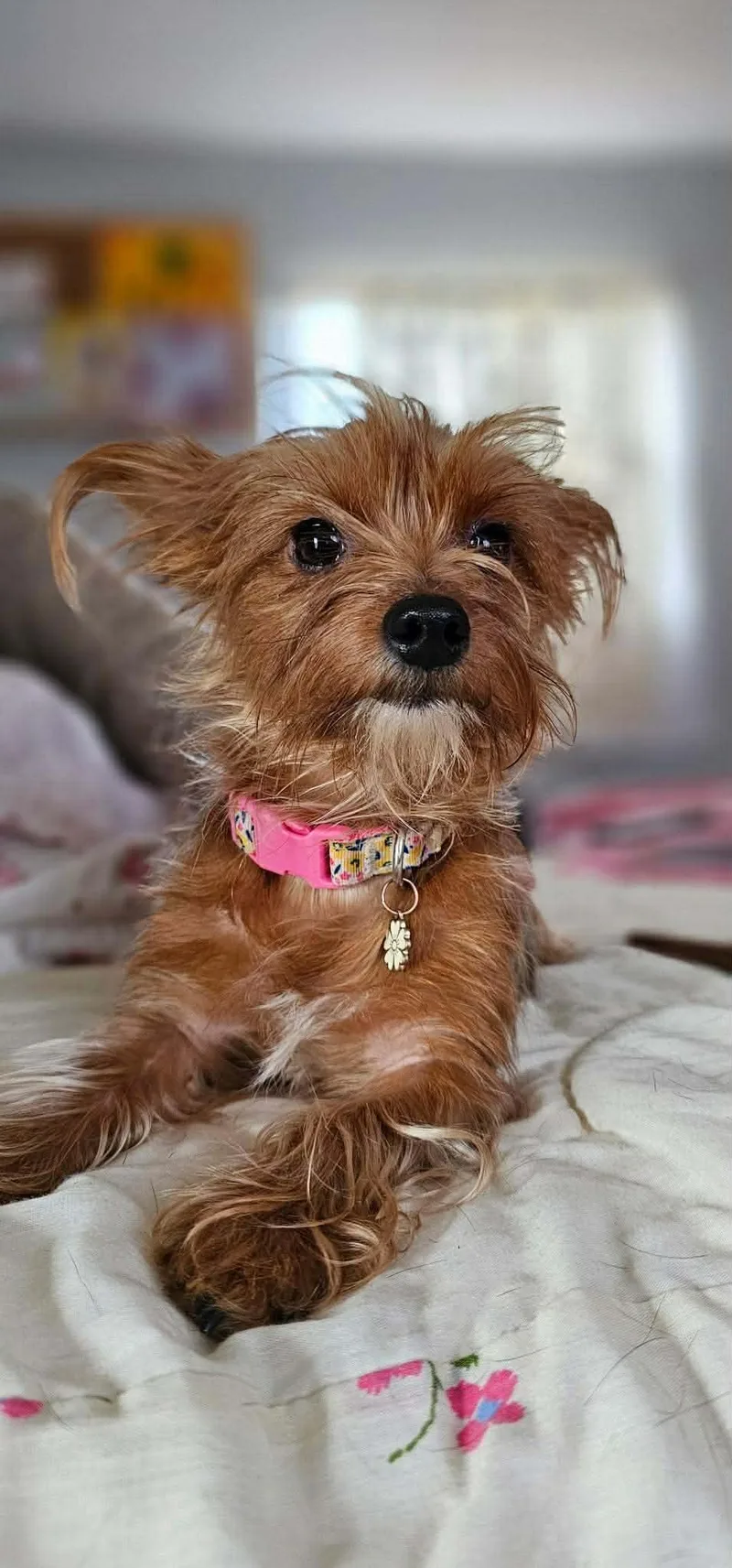 Gigi thumbnail 2