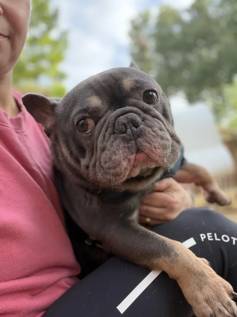 Louie thumbnail 5