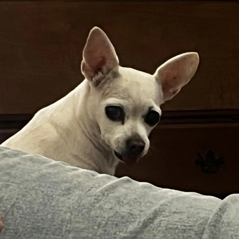 Lucy thumbnail 2