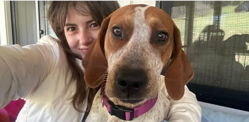 Maple Syrup thumbnail 2