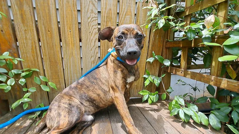 Janie And Jimmy thumbnail 2