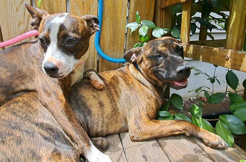 Janie And Jimmy thumbnail 3