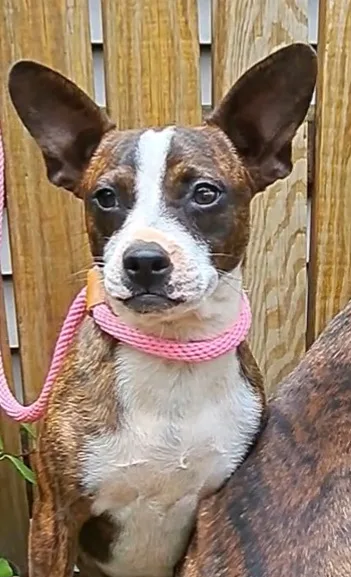 Janie And Jimmy thumbnail 5