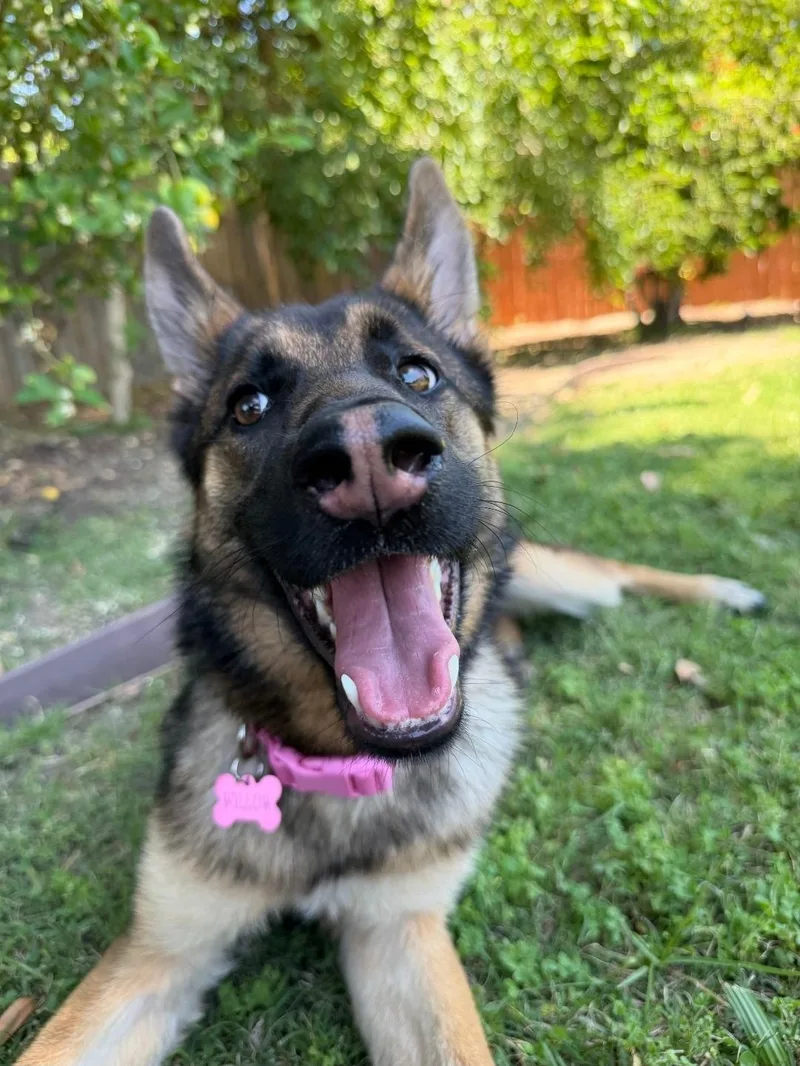 Willow is just a thumbnail 6