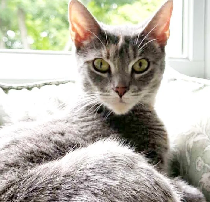 Betsy is a beauty thumbnail 4
