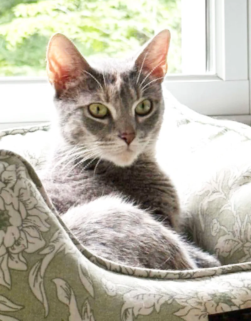 Betsy is a beauty thumbnail 5