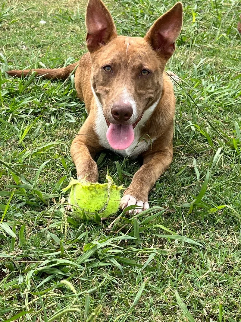 Channing thumbnail 2