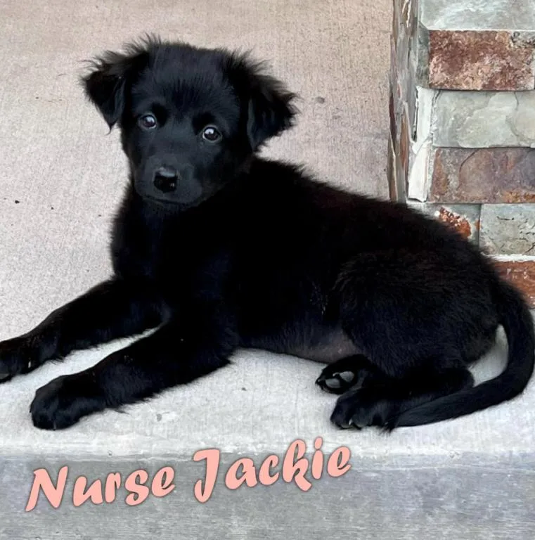Nurse Jackie