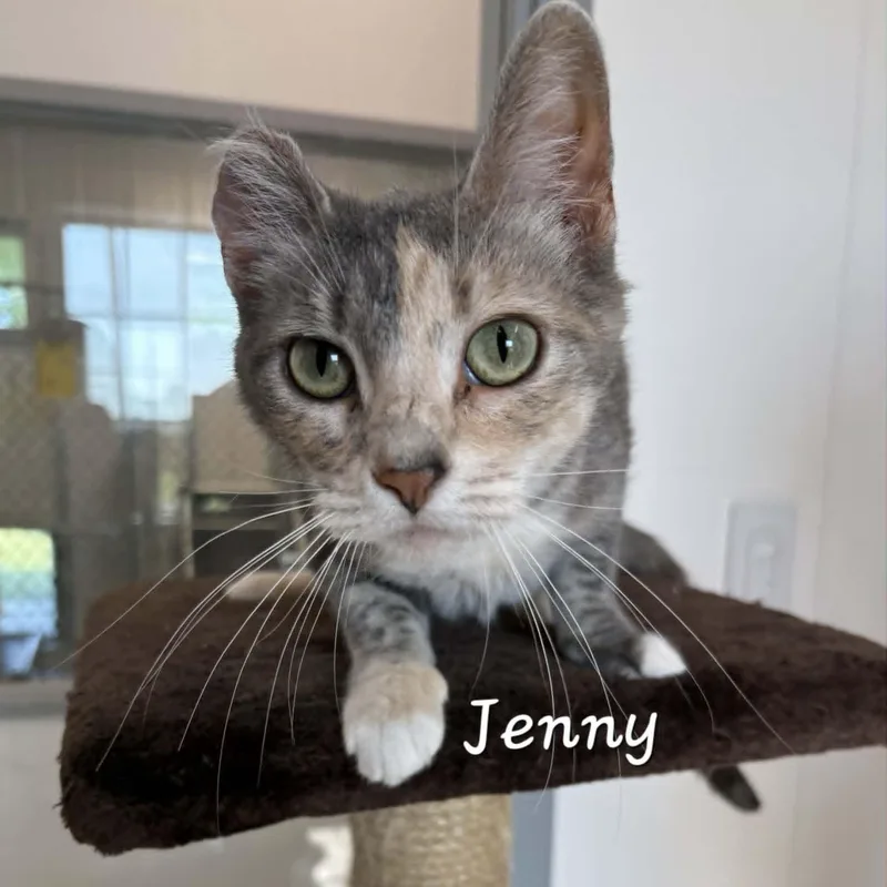 Jenny thumbnail 2