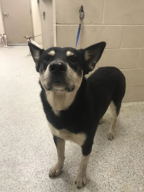 Max