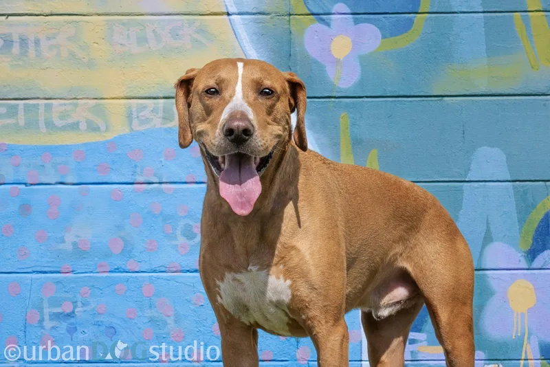 Cooper  M thumbnail 2