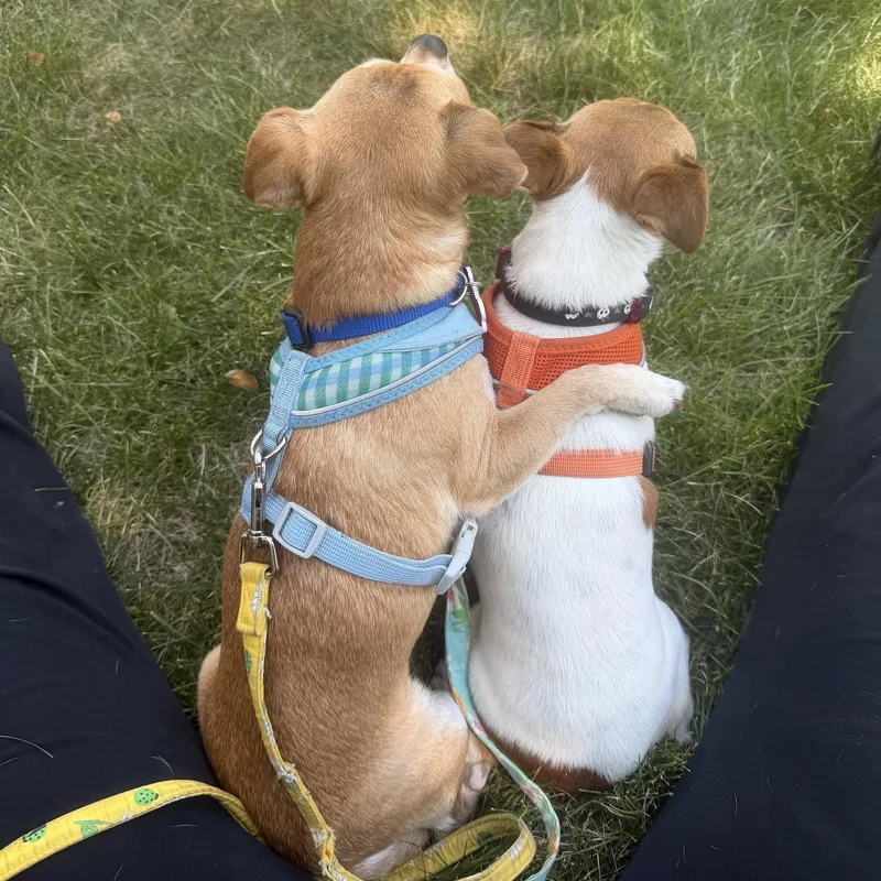 Tia & Tito thumbnail 3
