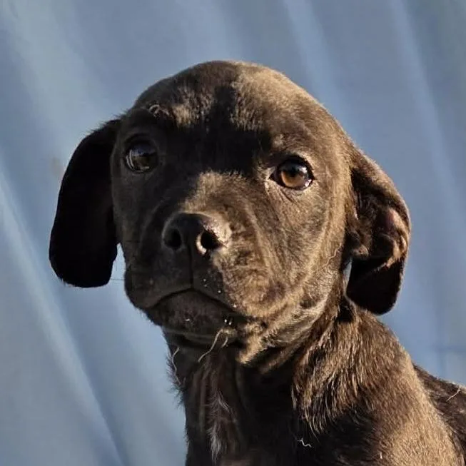 Baby Ray Mm thumbnail 2