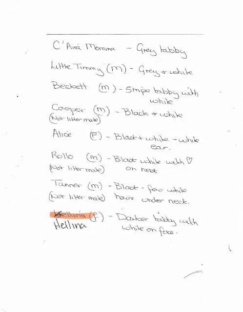 Bellina thumbnail 6