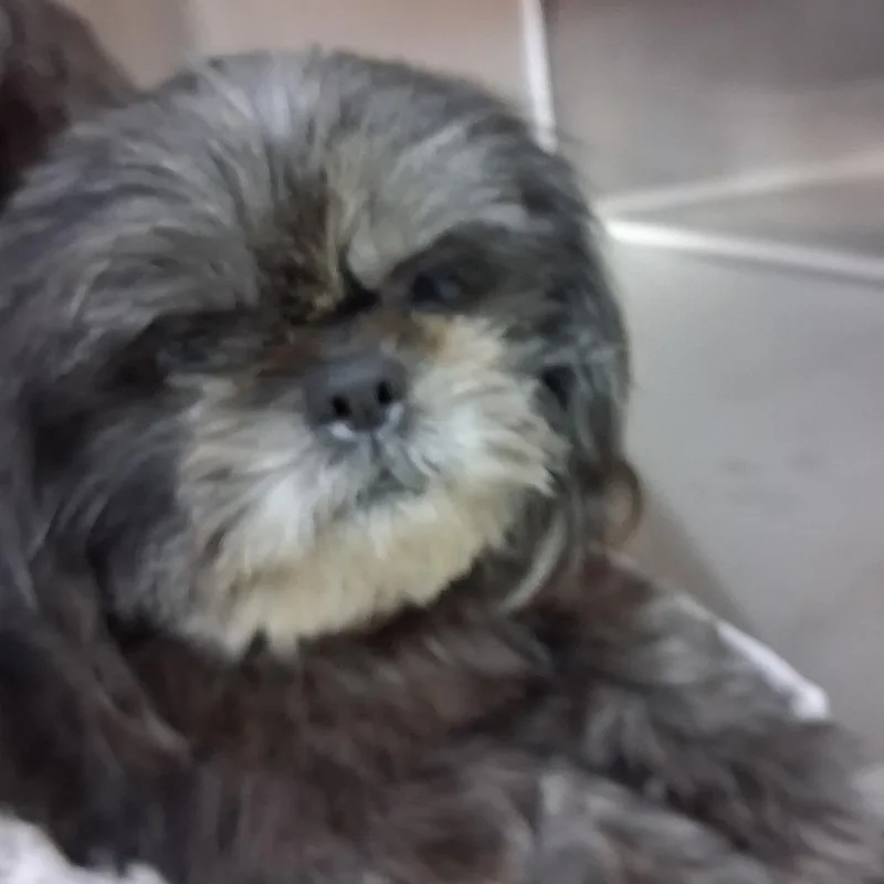 Betty thumbnail 2