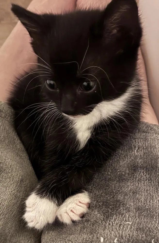 Snuggle thumbnail 2