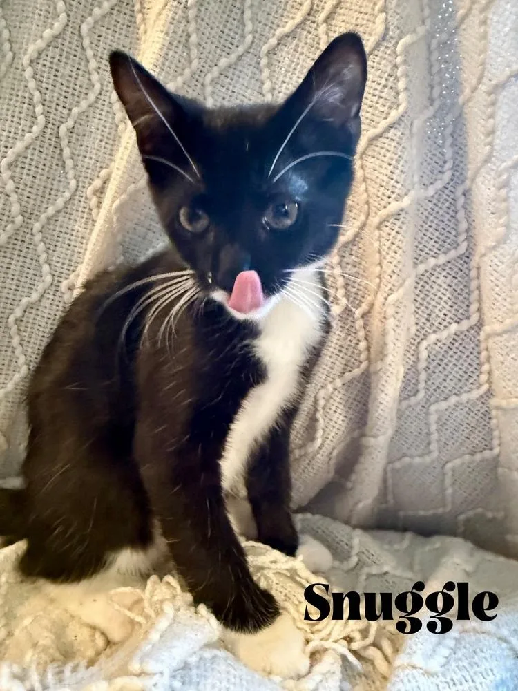 Snuggle thumbnail 4